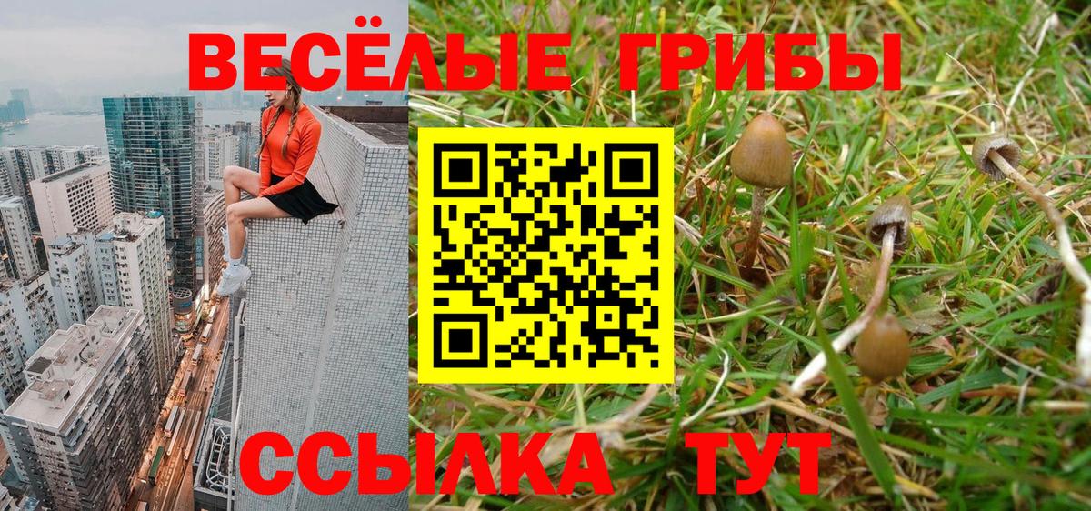 Псилоцибиновые грибы Cubensis Еманжелинск